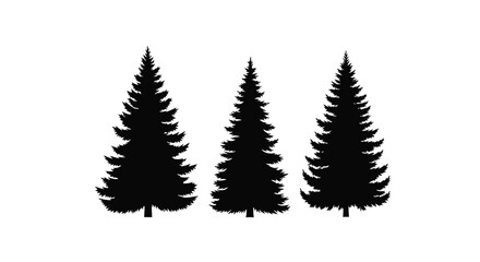 Fototapeta premium Three textured black pine tree silhouettes standing together nature forest landscape design element vector