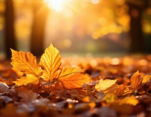 Close-up of golden autumn leaves on the ground with warm sunlight and soft bokeh background