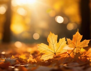 Close-up of golden autumn leaves on the ground with warm sunlight and soft bokeh background