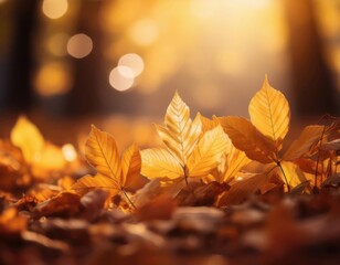 Close-up of golden autumn leaves on the ground with warm sunlight and soft bokeh background
