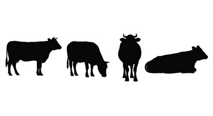 Diverse cattle silhouettes standing grazing and resting in farm setting vector