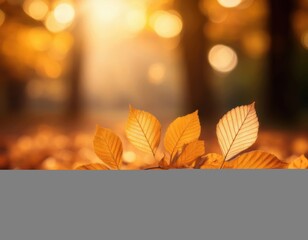 Close-up of golden autumn leaves on the ground with warm sunlight and soft bokeh background