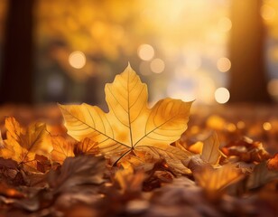 Close-up of golden autumn leaves on the ground with warm sunlight and soft bokeh background
