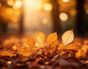 Close-up of golden autumn leaves on the ground with warm sunlight and soft bokeh background