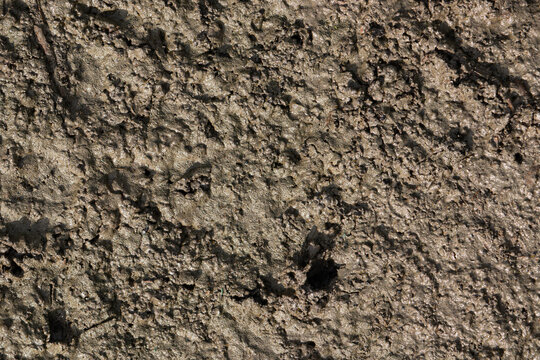 A top-down texture background of a wet, lumpy, and rough mud surface.