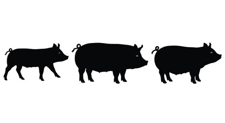 Three silhouettes of pigs standing in a row facing left agricultural livestock animals vector