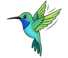  hummingbird vector illustration white background