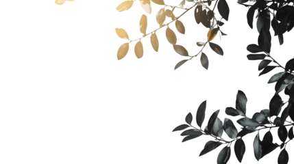 overlays overlay light transition effects sunlight lens flare light leaks isolated on a transparent background