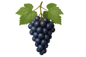 Fototapeta premium Ripe red grape cluster featuring verdant leaves, harvested fresh and arranged against transparent backdrop, ideal for culinary imagery