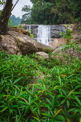 Obraz premium Tropical Waterfall Cascading Through Lush Jungle Foliage for Eco Tourism and Natural Serenity