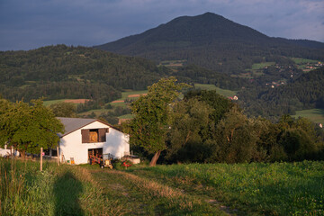 The road leading to a farm in the mountains