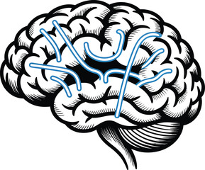 Black and white human brain illustration with blue veins
