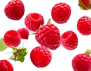 Floating Raspberry Fruits, Transparent Background