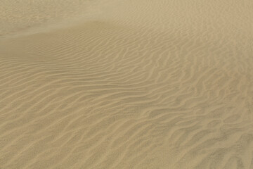 Close-Up of Desert Sand Texture