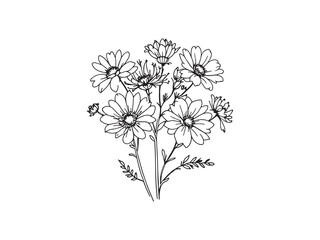 Verbena Lovely Backyard Decorative Flower Display