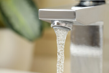 Water saving concept. Stream of water flowing from tap and houseplant indoors, selective focus. Space for text
