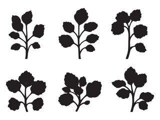 Watercress Leaf Fresh Green Healthy Vegetable