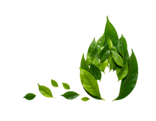 Green Flame transparent background