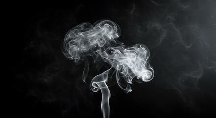 Fototapeta premium cinematic white smoke effect on a black background, centered composition, soft swirling shapes, dramatic and atmospheric 