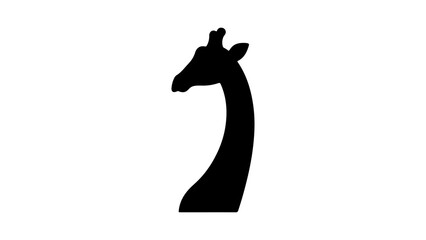 Giraffe head silhouette with transparent background