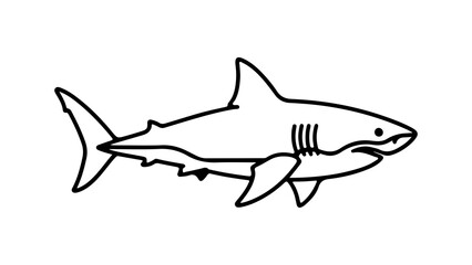 Great white shark outline with transparent background