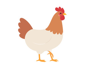 Fototapeta premium Cute cartoon hen walking illustration, with brown and white feathers, isolated on transparent background, a backgroundless asset for various designs