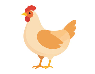 Fototapeta premium A detailed illustration of a chicken isolated on a transparent background, featuring a backgroundless design for versatile use