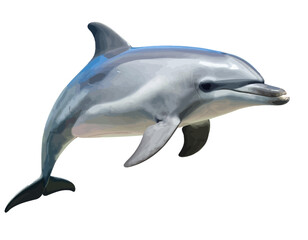 Fototapeta premium A beautiful grey bottlenose dolphin leaps gracefully, isolated on a clean white background.