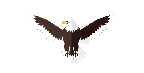 Obraz premium Bald eagle in flight