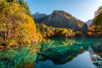 Autumn landscape in beautiful colorful nature scenic view at five flower lake in jiuzhaigou national park