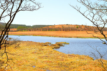八島ヶ原湿原　長野県下諏訪町