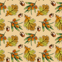 Autumn pattern with acorns, sea buckthorn and leaves. Vector illustration
