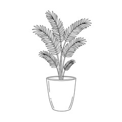 Palm tree in a pot in black and white style