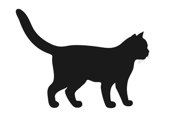 Standing cat silhouette, side view. Cat silhouette in profile. Vector illustration.