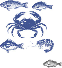 seafood