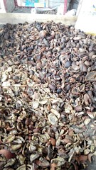 dried fish in a market