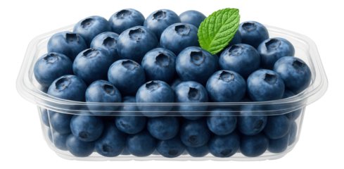 Radish rounds scattered on a black slate, each piece displaying its circular shape and contrasting colors.