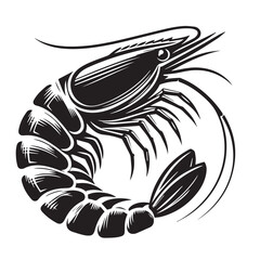 Detailed monochrome artwork of a shrimp curled in a circle for seafood and culinary themes vector