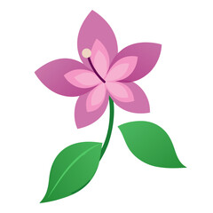 yringa josikaea vector on white