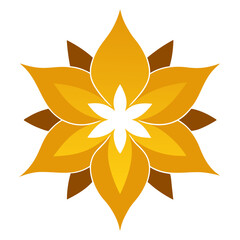 sanvitalia aztekengold flower vector on white