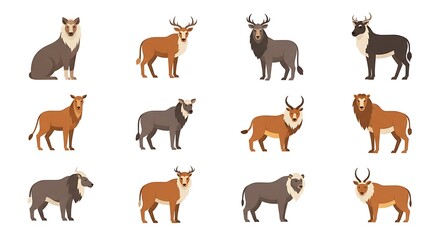 Obraz premium Vector illustration of various african antelope and deer species