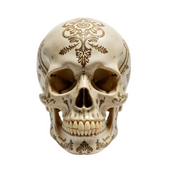 Obraz premium Decorative Skull With Intricate Ornate Patterns Transparent Background