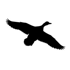 Obraz premium Silhouette of a flying duck bird with wings spread wide. Black vector illustration representing wild waterfowl, migration, hunting, freedom, and nature wildlife