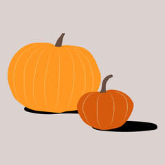 Vector Illustration of Two Pumpkins – Autumn and Halloween Design