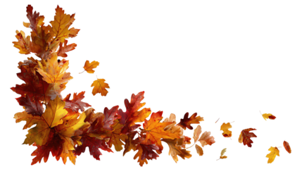 An autumn leaves corner frame with maple and oak foliage in amber, rust, and crimson forming an L-shape, isolated on transparent background.
