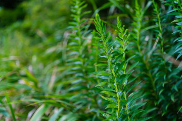 散歩の途中で見つけた光景