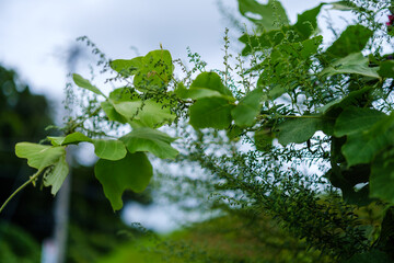 散歩の途中で見つけた光景