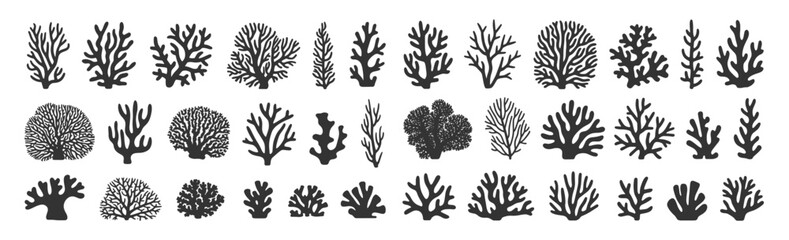 Coral silhouettes, seaweed black icon. Abstract organic corals shape