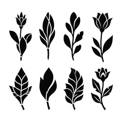 Black silhouette floral and leaf motifs on white background flower
