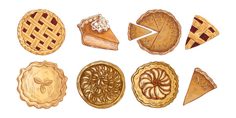 Hand drawn vintage sketch set of assorted sweet pies with lattice, cream, nuts, apples, closed crust and slices